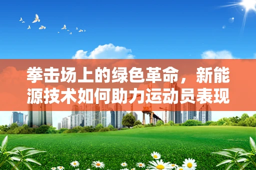 拳击场上的绿色革命，新能源技术如何助力运动员表现？