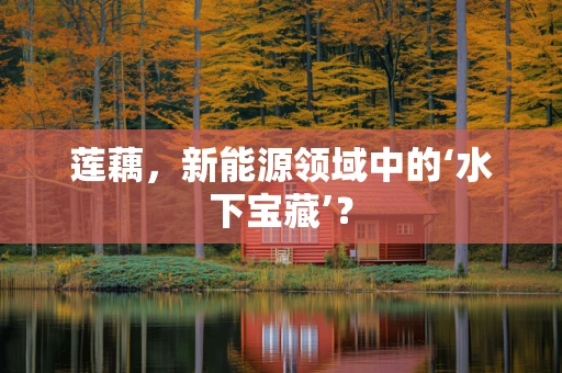 莲藕，新能源领域中的‘水下宝藏’？