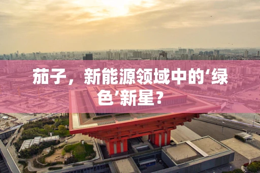 茄子，新能源领域中的‘绿色’新星？