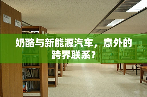 奶酪与新能源汽车，意外的跨界联系？