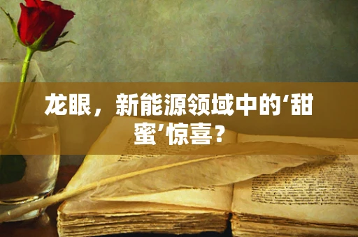 龙眼，新能源领域中的‘甜蜜’惊喜？