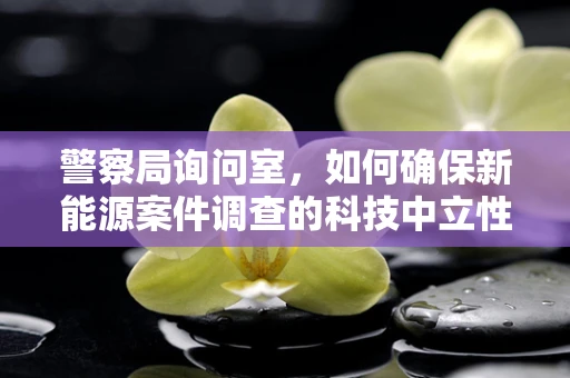 警察局询问室，如何确保新能源案件调查的科技中立性？