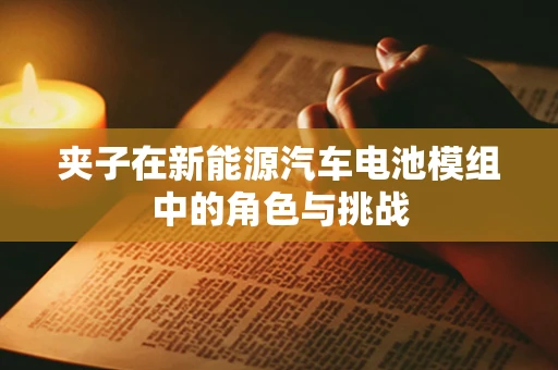 夹子在新能源汽车电池模组中的角色与挑战