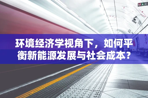 环境经济学视角下，如何平衡新能源发展与社会成本？