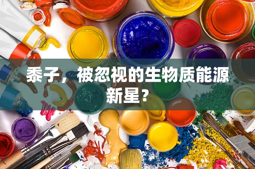 黍子，被忽视的生物质能源新星？