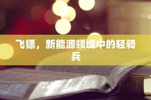 飞镖，新能源领域中的轻骑兵