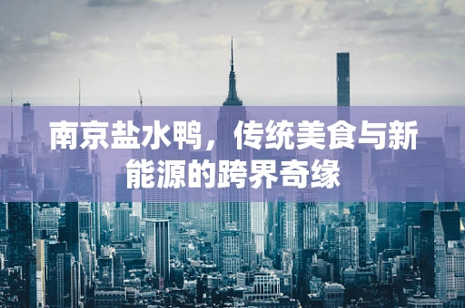 南京盐水鸭，传统美食与新能源的跨界奇缘