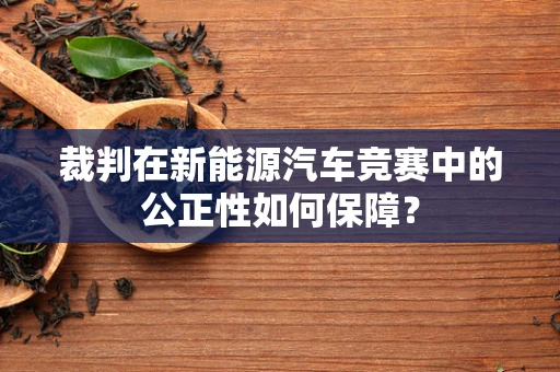 裁判在新能源汽车竞赛中的公正性如何保障？