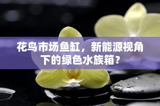 花鸟市场鱼缸，新能源视角下的绿色水族箱？