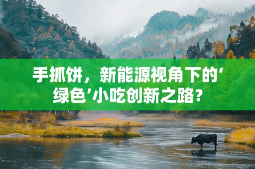 手抓饼，新能源视角下的‘绿色’小吃创新之路？