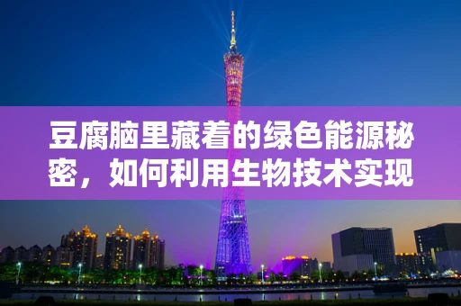 豆腐脑里藏着的绿色能源秘密，如何利用生物技术实现废物资源化？