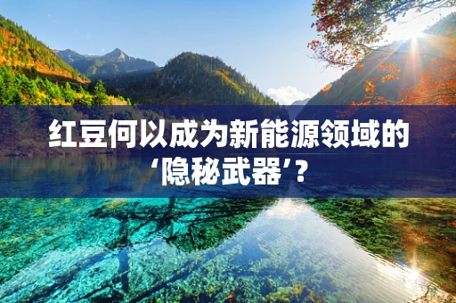 红豆何以成为新能源领域的‘隐秘武器’？