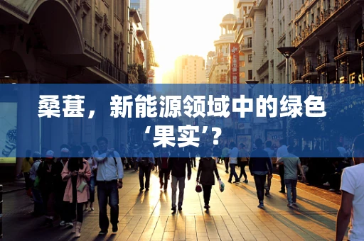 桑葚，新能源领域中的绿色‘果实’？