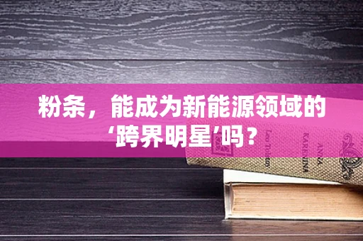 粉条，能成为新能源领域的‘跨界明星’吗？