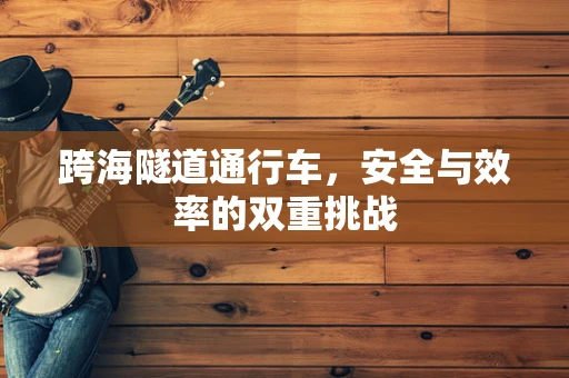跨海隧道通行车，安全与效率的双重挑战