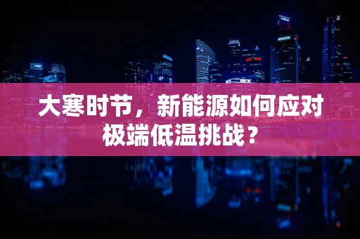 大寒时节，新能源如何应对极端低温挑战？