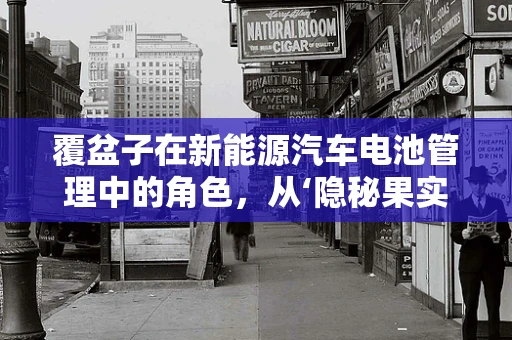 覆盆子在新能源汽车电池管理中的角色，从‘隐秘果实’到‘关键元素’的转变？