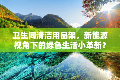 卫生间清洁用品架，新能源视角下的绿色生活小革新？