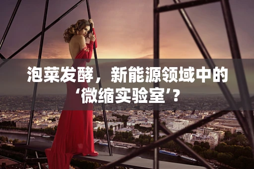 泡菜发酵，新能源领域中的‘微缩实验室’？