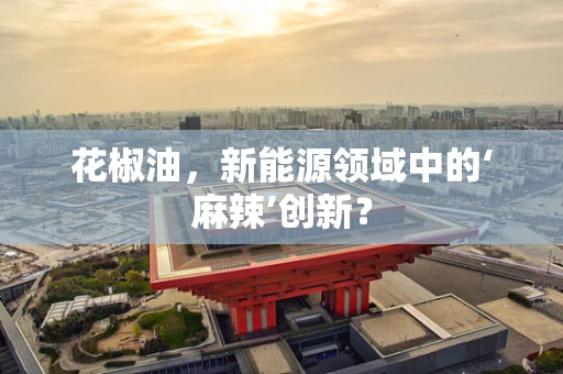 花椒油，新能源领域中的‘麻辣’创新？