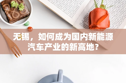 无锡，如何成为国内新能源汽车产业的新高地？