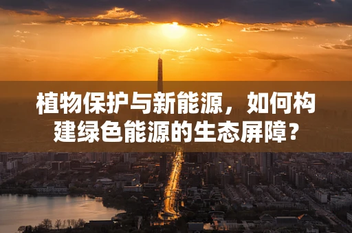 植物保护与新能源，如何构建绿色能源的生态屏障？