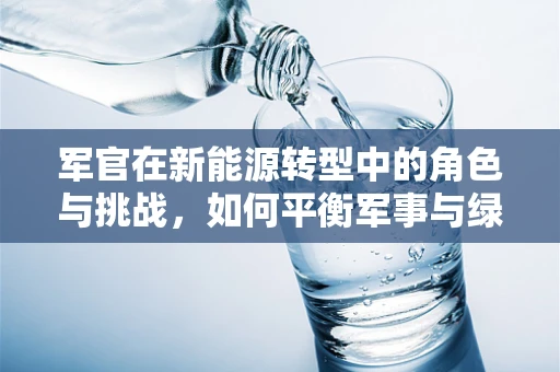 军官在新能源转型中的角色与挑战，如何平衡军事与绿色使命？