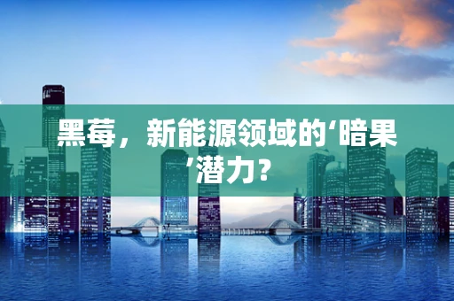 黑莓，新能源领域的‘暗果’潜力？