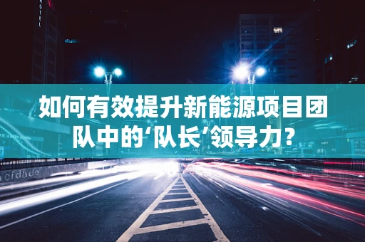 如何有效提升新能源项目团队中的‘队长’领导力？