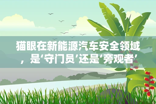 猫眼在新能源汽车安全领域，是‘守门员’还是‘旁观者’？