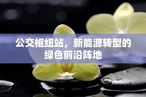 公交枢纽站，新能源转型的绿色前沿阵地
