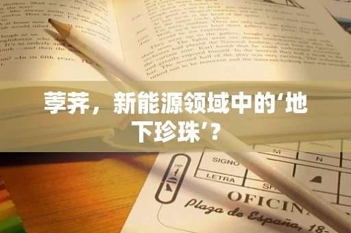 荸荠，新能源领域中的‘地下珍珠’？