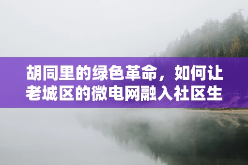 胡同里的绿色革命，如何让老城区的微电网融入社区生活？
