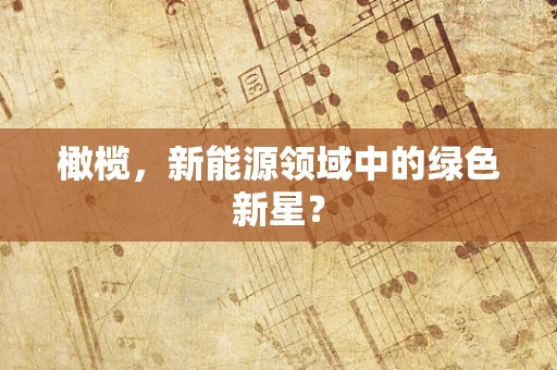 橄榄，新能源领域中的绿色新星？