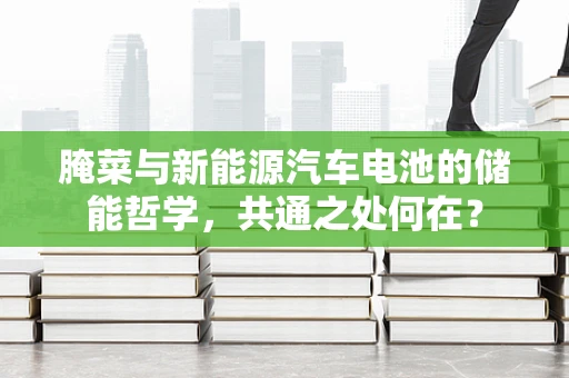 腌菜与新能源汽车电池的储能哲学，共通之处何在？