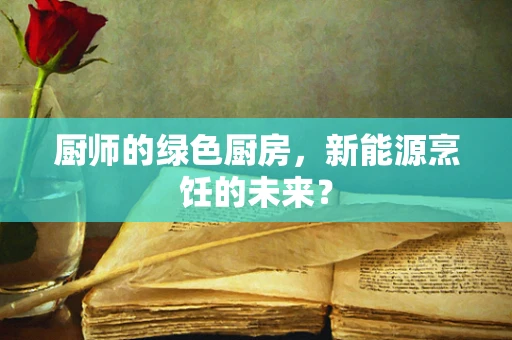 厨师的绿色厨房，新能源烹饪的未来？