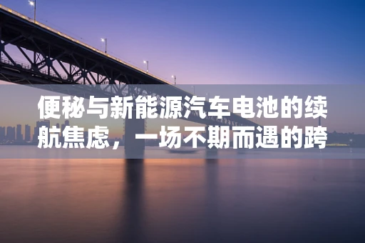 便秘与新能源汽车电池的续航焦虑，一场不期而遇的跨界思考？