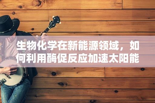 生物化学在新能源领域，如何利用酶促反应加速太阳能转化？