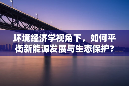 环境经济学视角下，如何平衡新能源发展与生态保护？