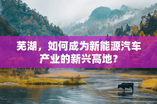 芜湖，如何成为新能源汽车产业的新兴高地？