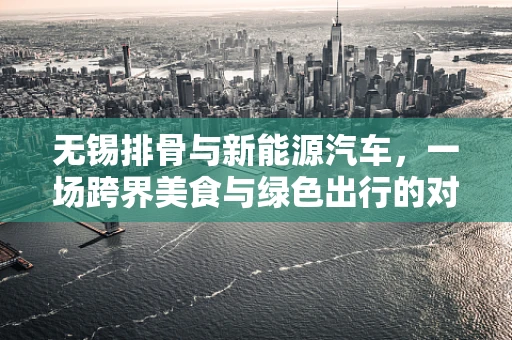 无锡排骨与新能源汽车，一场跨界美食与绿色出行的对话