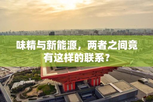 味精与新能源，两者之间竟有这样的联系？