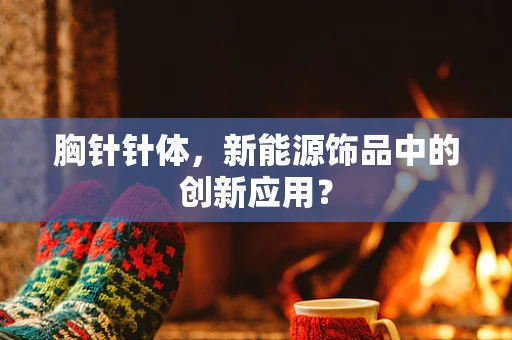 胸针针体，新能源饰品中的创新应用？