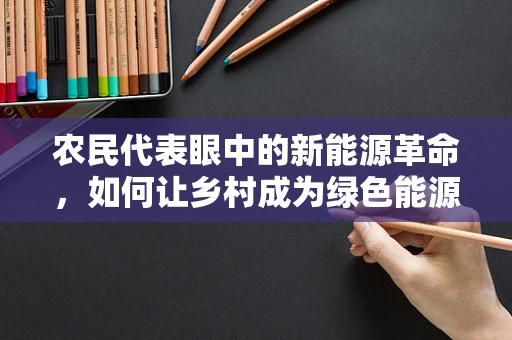 农民代表眼中的新能源革命，如何让乡村成为绿色能源的‘新前线’？