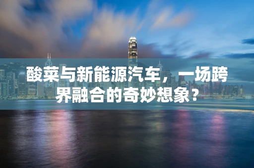 酸菜与新能源汽车，一场跨界融合的奇妙想象？