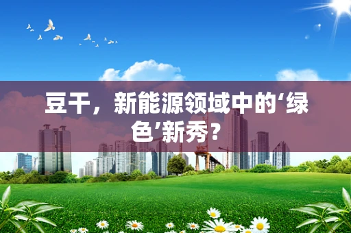 豆干，新能源领域中的‘绿色’新秀？