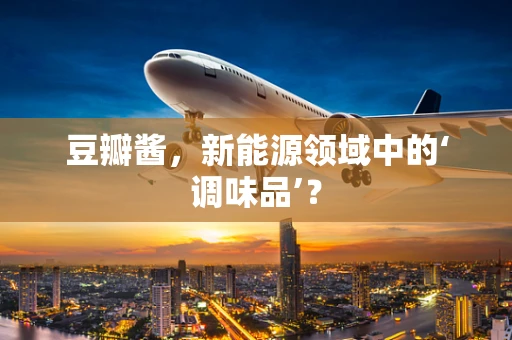 豆瓣酱，新能源领域中的‘调味品’？