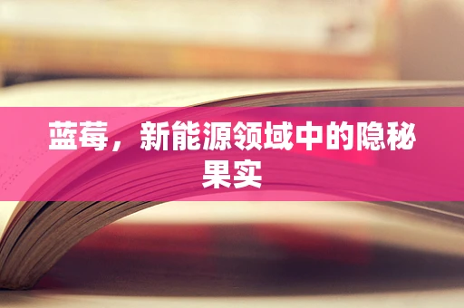 蓝莓，新能源领域中的隐秘果实