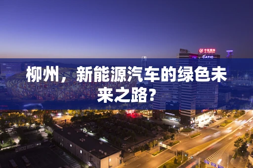 柳州，新能源汽车的绿色未来之路？