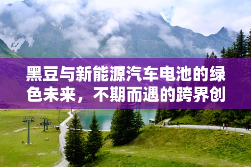 黑豆与新能源汽车电池的绿色未来，不期而遇的跨界创新？